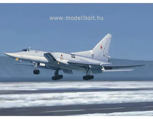 Trumpeter - Tu-22M3 Backfire C Strategic bomber 